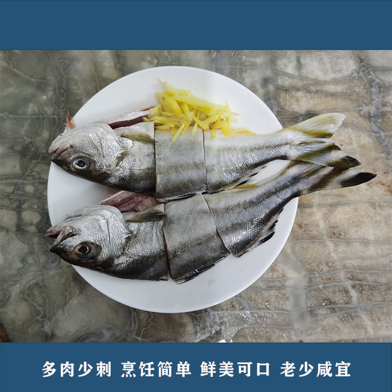 巴丽鱼/海鲜海产怎么卖